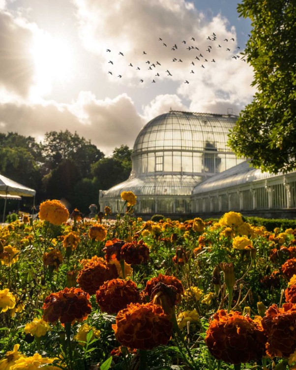 City of Belfast Autumn Fair 2026